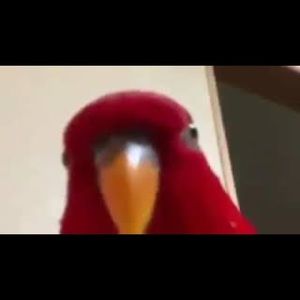 Meet your Posher, Emmanuel